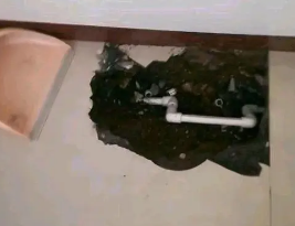 神农架林卫生间测漏水多少钱